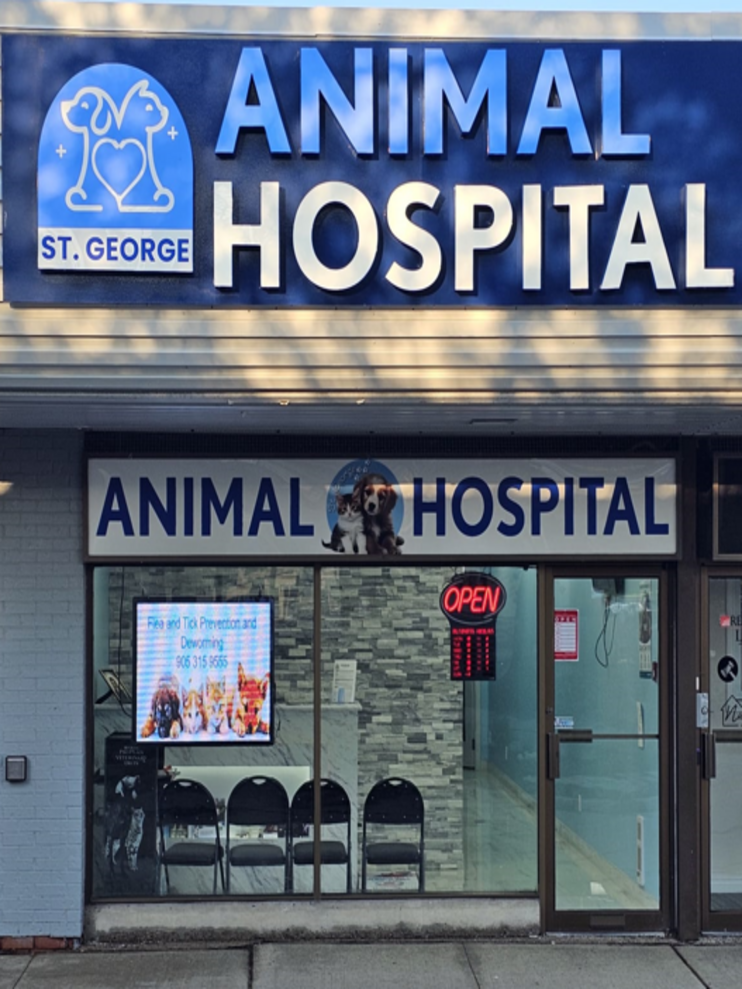 Modern veterinary clinic