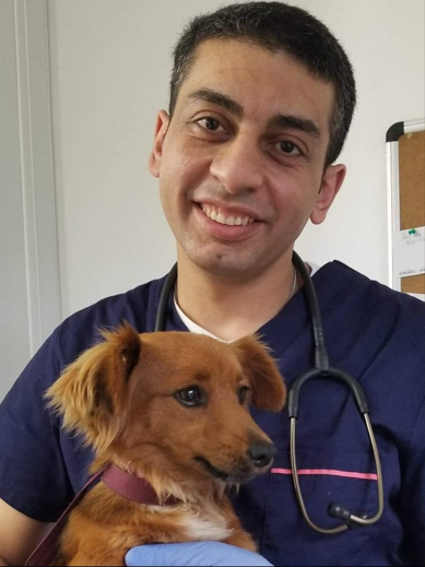 Veterinarian with a dog